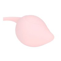 Vaginalinių kamuoliukų rinkinys „Pelvic Stem Kegel Kit“ - Loveline