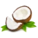 Kokosas