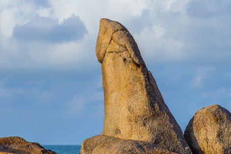Didelis penis: privalumai ir trūkumai Didelis penis: privalumai ir trūkumai
